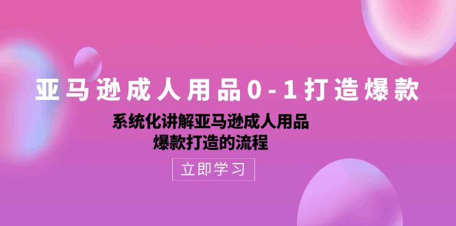 （10493期）亚马逊成人用品0-1打造爆款：系统化讲解亚马逊成人用品爆款打造的流程-新星起源