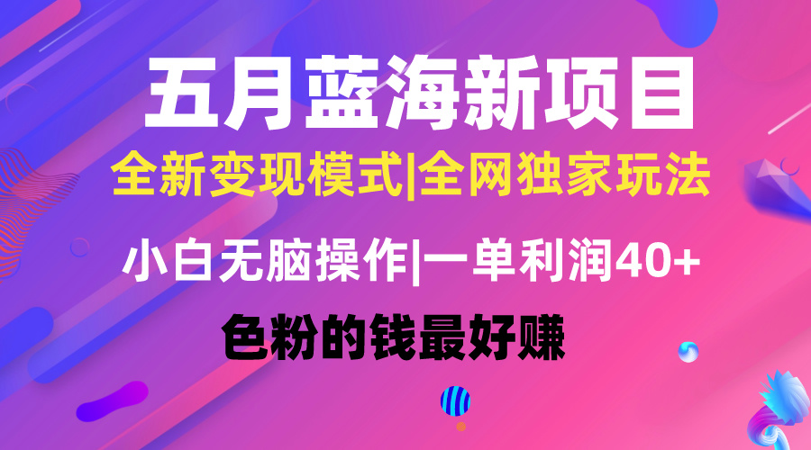 （10477期）五月蓝海项目全新玩法，小白无脑操作，一天几分钟，矩阵操作，月入4万+-新星起源