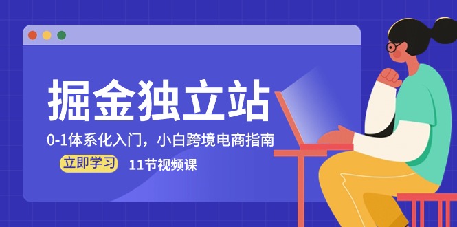 （10536期）掘金 独立站，0-1体系化入门，小白跨境电商指南（11节视频课）-新星起源