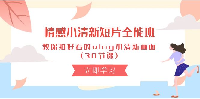 （10567期）情感 小清新短片-全能班，教你拍好看的vlog小清新画面 (30节课)-新星起源