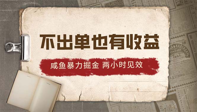 （10562期）2024咸鱼暴力掘金，不出单也有收益，两小时见效，当天突破500+-新星起源