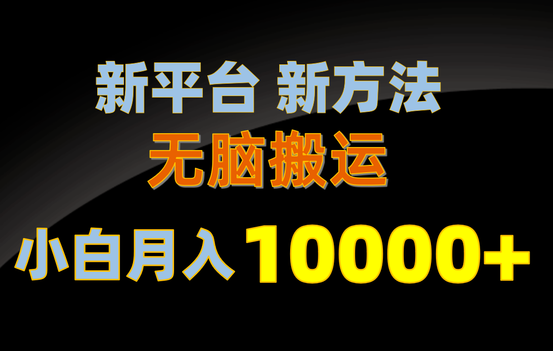 （10605期）新平台新方法，无脑搬运，月赚10000+，小白轻松上手不动脑-新星起源