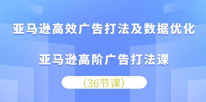 （10649期）亚马逊高效广告打法及数据优化，亚马逊高阶广告打法课-新星起源