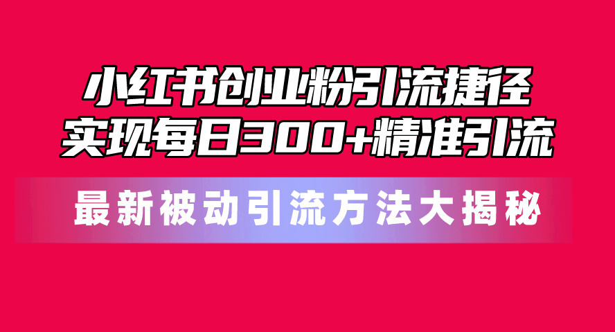 （10692期）小红书创业粉引流捷径！最新被动引流方法大揭秘，实现每日300+精准引流-新星起源