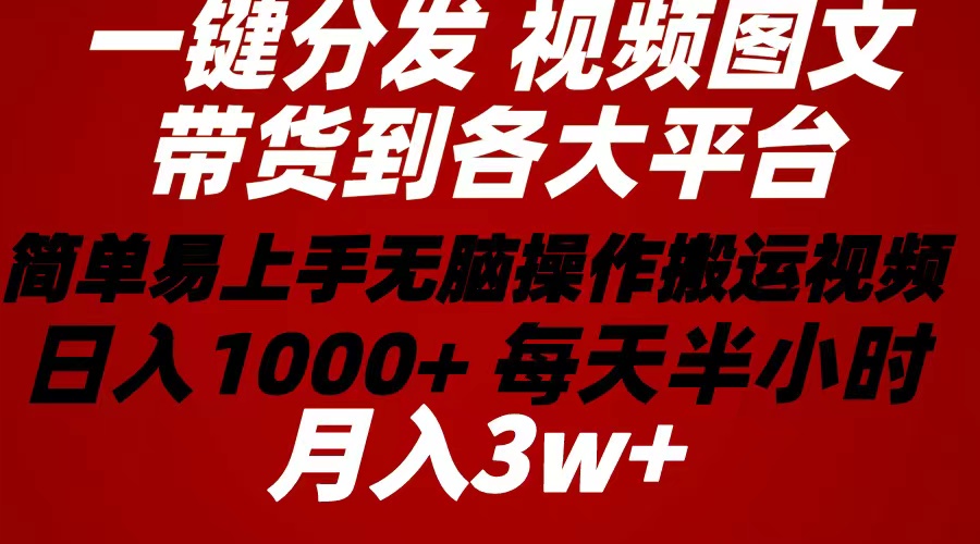 （10667期）2024年 一键分发带货图文视频  简单易上手 无脑赚收益 每天半小时日入1…-新星起源