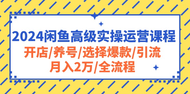 （10711期）2024闲鱼高级实操运营课程：开店/养号/选择爆款/引流/月入2万/全流程-新星起源