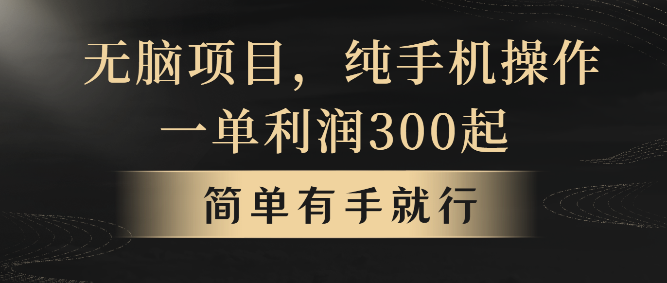 （10699期）无脑项目，一单几百块，轻松月入5w+，看完就能直接操作-新星起源