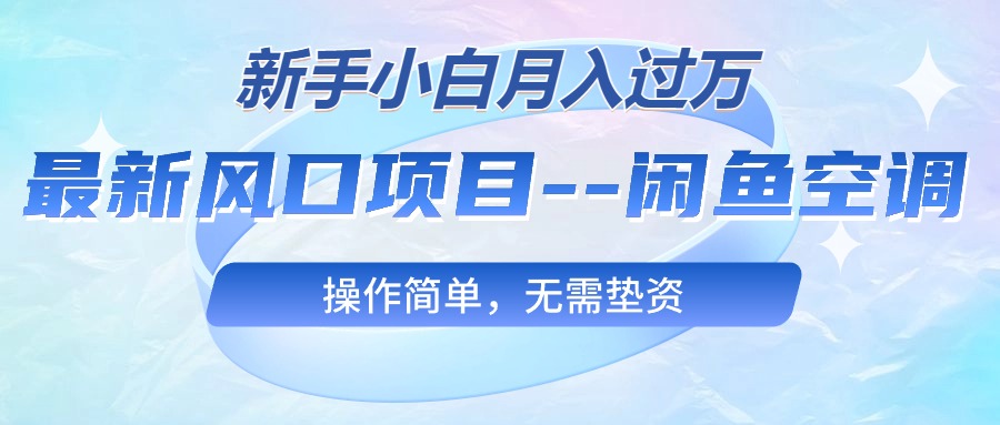 （10767期）最新风口项目—闲鱼空调，新手小白月入过万，操作简单，无需垫资-新星起源