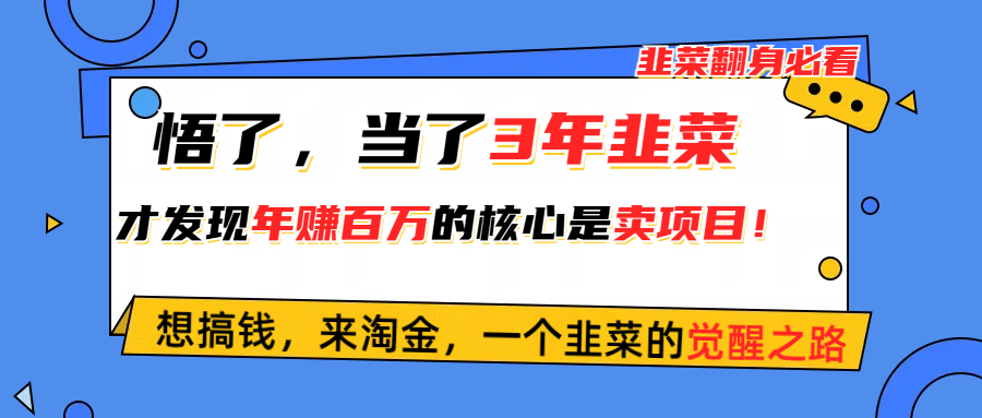 （10759期）悟了，当了3年韭菜，才发现网赚圈年赚100万的核心是卖项目，含泪分享！-新星起源