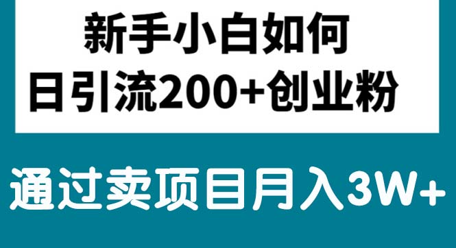 （10843期）新手小白日引流200+创业粉,通过卖项目月入3W+-新星起源