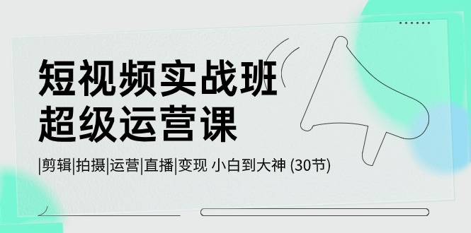 （10836期）短视频实战班-超级运营课，|剪辑|拍摄|运营|直播|变现 小白到大神 (30节)-新星起源