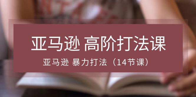 （10870期）亚马逊 高阶打法课，亚马逊 暴力打法（14节课）-新星起源