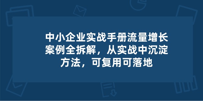 （10889期）中小 企业 实操手册-流量增长案例拆解，从实操中沉淀方法，可复用可落地-新星起源