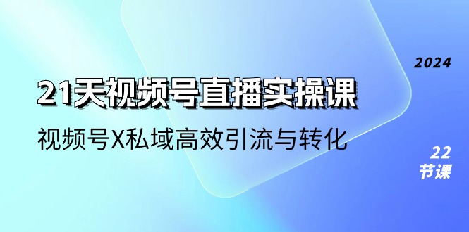 （10966期）21天-视频号直播实操课，视频号X私域高效引流与转化（22节课）-新星起源