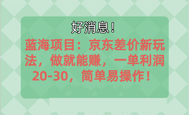 （10989期）越早知道越能赚到钱的蓝海项目：京东大平台操作，一单利润20-30，简单…-新星起源