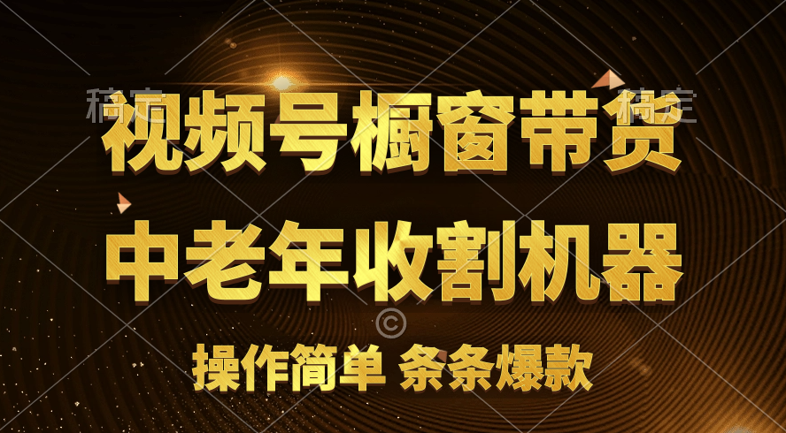 （11009期）[你的孩子成功取得高位]视频号最火爆赛道，橱窗带货，流量分成计划，条…-新星起源