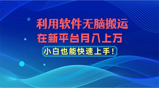 （11078期）利用软件无脑搬运，在新平台月入上万，小白也能快速上手-新星起源