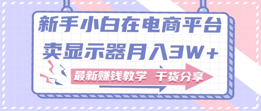 （11053期）新手小白如何做到在电商平台卖显示器月入3W+，最新赚钱教学干货分享-新星起源