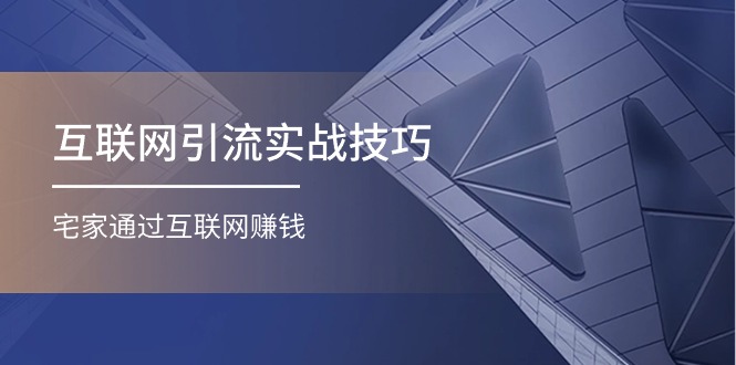 （11108期）互联网引流实操技巧(适合微商，吸引宝妈)，宅家通过互联网赚钱（17节）-新星起源