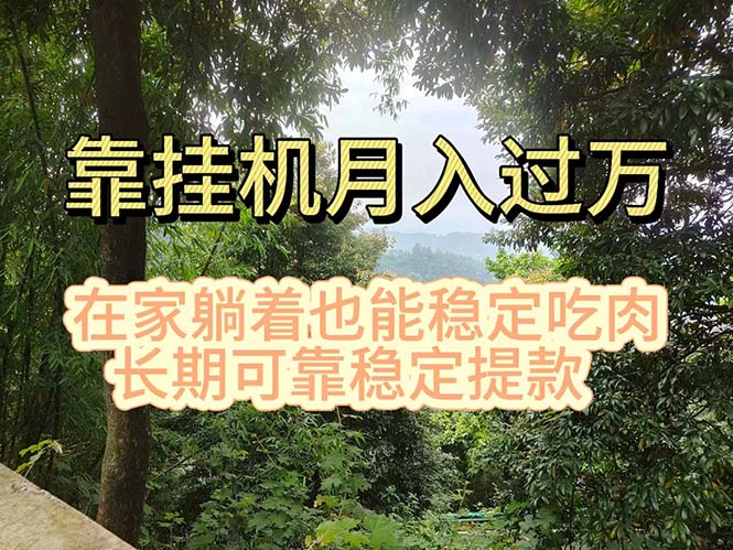 （11144期）挂机掘金，日入1000+，躺着也能吃肉，适合宝爸宝妈学生党工作室，电脑…-新星起源