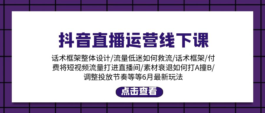 （11211期）抖音直播运营线下课：话术框架/付费流量直播间/素材A撞B/等6月新玩法-新星起源