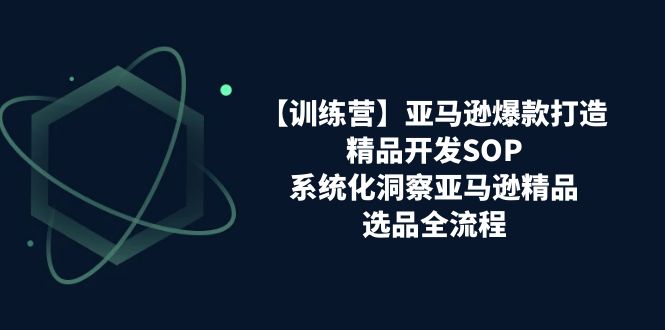 （11210期）【训练营】亚马逊爆款打造之精品开发SOP，系统化洞察亚马逊精品选品全流程-新星起源