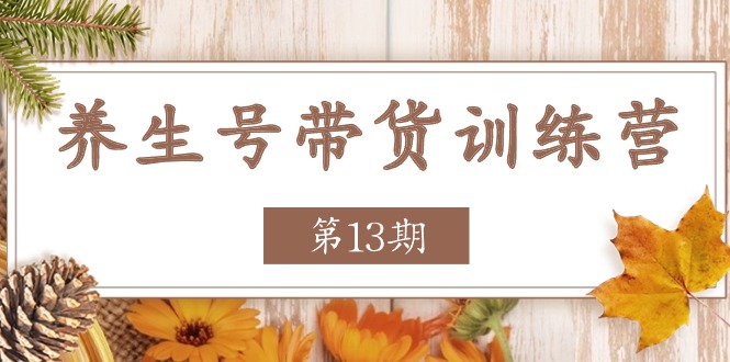 （11275期）养生号-带货训练营【第13期】收益更稳定的玩法，让你带货收益爆炸-新星起源