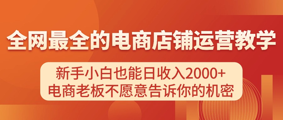 （11266期）电商店铺运营教学，新手小白也能日收入2000+，电商老板不愿意告诉你的机密-新星起源