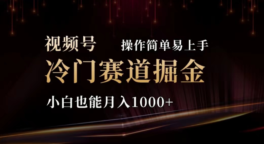 （11378期）2024视频号冷门赛道掘金，操作简单轻松上手，小白也能月入1000+-新星起源