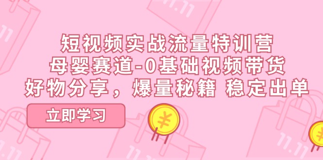 （11373期）短视频实战流量特训营，母婴赛道-0基础带货，好物分享，爆量秘籍 稳定出单-新星起源