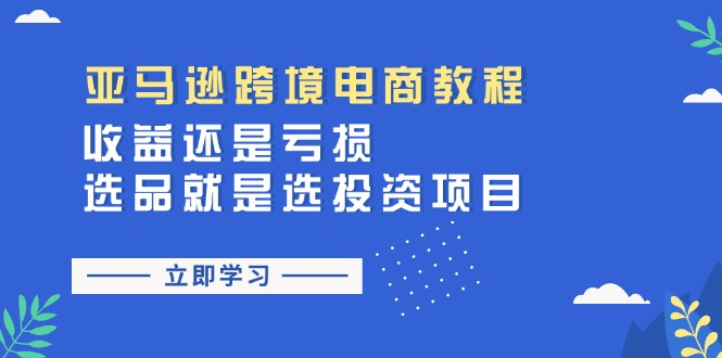 （11432期）亚马逊跨境电商教程：收益还是亏损！选品就是选投资项目-新星起源