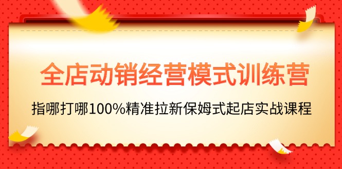 （11460期）全店动销-经营模式训练营，指哪打哪100%精准拉新保姆式起店实战课程-新星起源