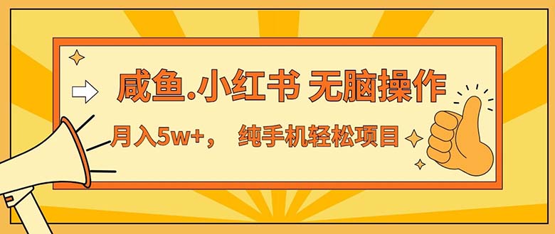 （11524期）2024最赚钱的项目，咸鱼，小红书无脑操作，每单利润500+，轻松月入5万+…-新星起源