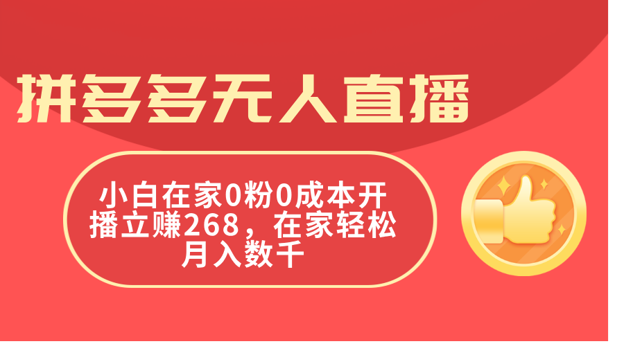 （11521期）拼多多无人直播，小白在家0粉0成本开播立赚268，在家轻松月入数千-新星起源