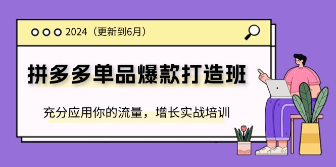 （11556期）2024拼多多-单品爆款打造班(更新6月)，充分应用你的流量，增长实战培训-新星起源