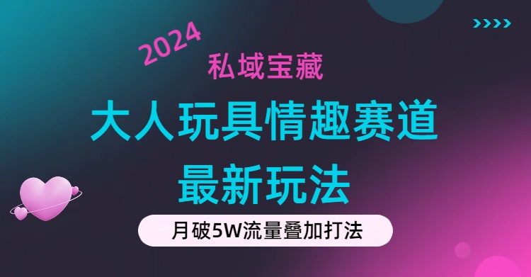 （11541期）私域宝藏：大人玩具情趣赛道合规新玩法，零投入，私域超高流量成单率高-新星起源