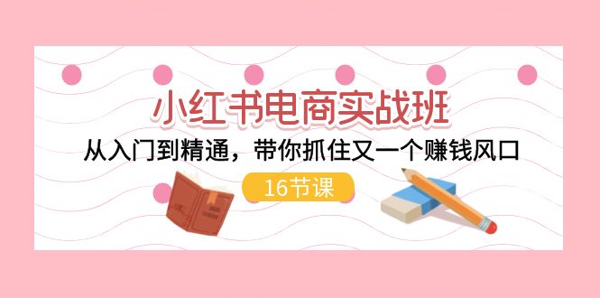 （11533期）小红书电商实战班，从入门到精通，带你抓住又一个赚钱风口（16节）-新星起源