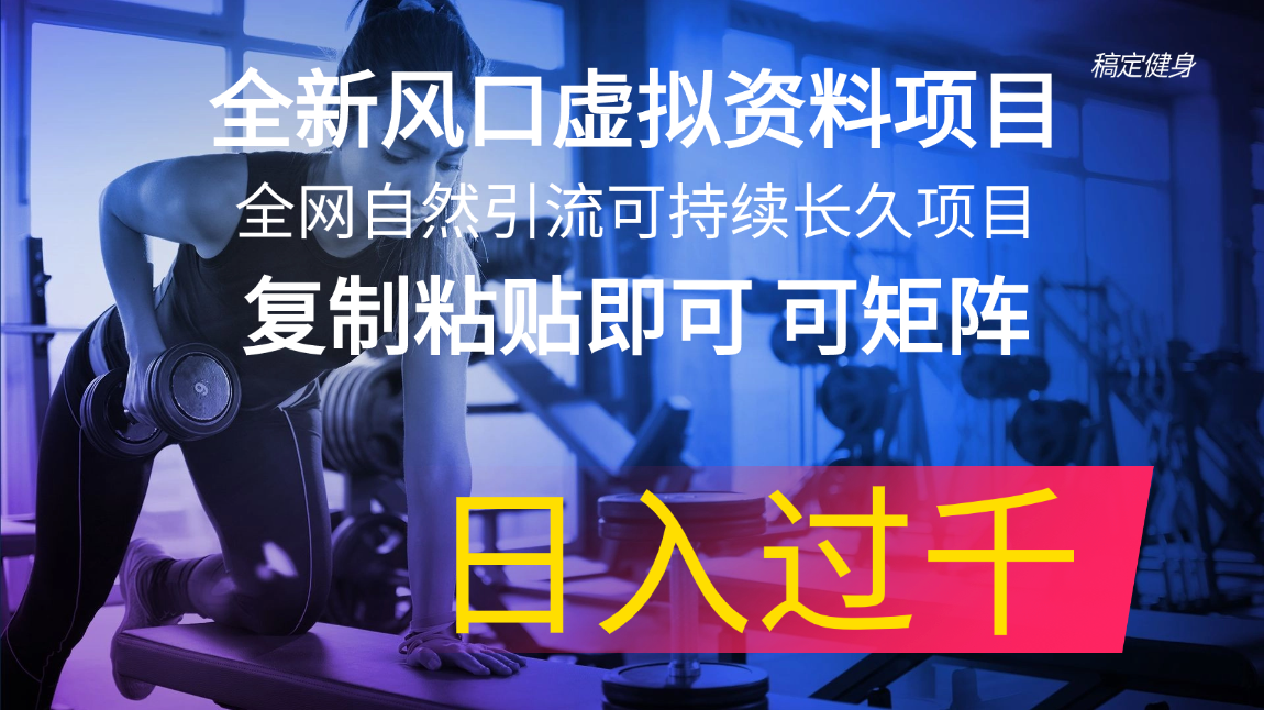 （11587期）全新风口虚拟资料项目 全网自然引流可持续长久项目 复制粘贴即可可矩阵…-新星起源