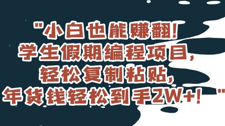 小白也能赚翻！学生假期编程项目，轻松复制粘贴，年货钱轻松到手2W+【揭秘】-新星起源