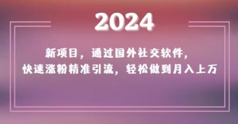 2024新项目，通过国外社交软件，快速涨粉精准引流，轻松做到月入上万【揭秘】-新星起源