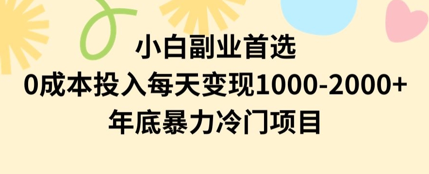 小白副业首选，0成本投入，每天变现1000-2000年底暴力冷门项目【揭秘】-新星起源