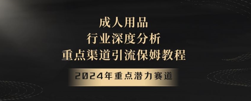 2024年重点潜力赛道，成人用品行业深度分析，重点渠道引流保姆教程【揭秘】-新星起源