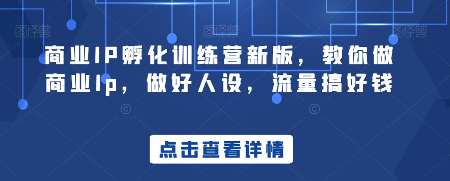 商业IP孵化训练营新版，教你做商业Ip，做好人设，流量搞好钱-新星起源