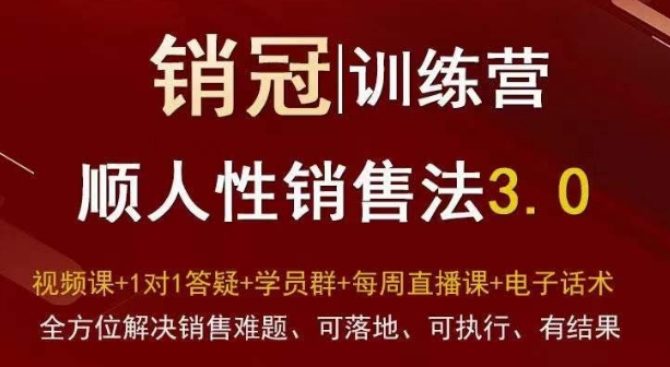 爆款！销冠训练营3.0之顺人性销售法，全方位解决销售难题、可落地、可执行、有结果-新星起源