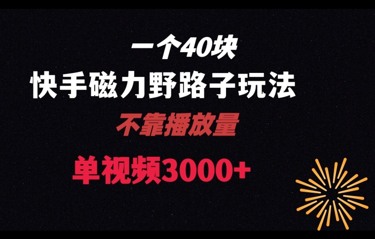 一个40块，快手联合美团磁力新玩法，无视机制野路子玩法，单视频收益4位数【揭秘】-新星起源