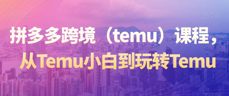 拼多多跨境（temu）课程，从Temu小白到玩转Temu-新星起源