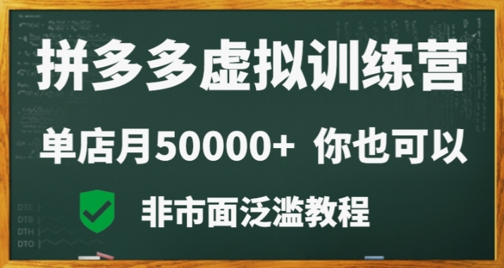 拼多多虚拟电商训练营月入30000+你也行，暴利稳定长久，副业首选-新星起源