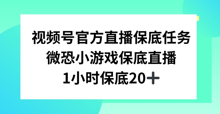 视频号直播任务，微恐小游戏，1小时20+【揭秘】-新星起源