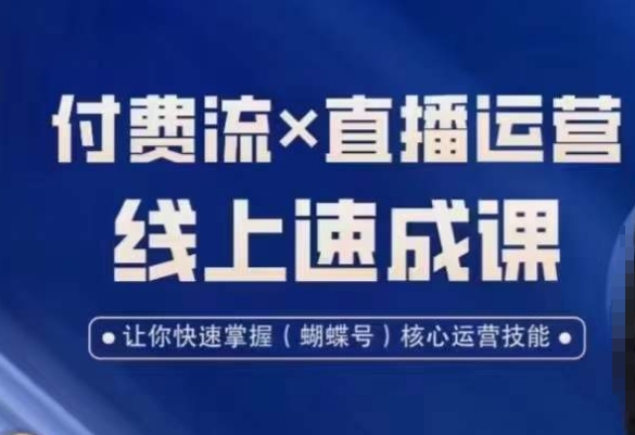 视频号付费流实操课程，付费流✖️直播运营速成课，让你快速掌握视频号核心运营技能-新星起源