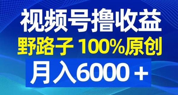 视频号野路子撸收益，100%原创，条条爆款，月入6000＋【揭秘】-新星起源